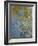 The Yellow Iris-Claude Monet-Framed Giclee Print