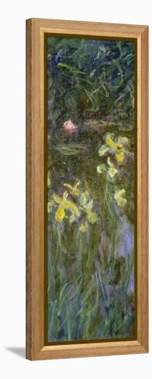 The Yellow Irises, 1914-17-Claude Monet-Framed Premier Image Canvas