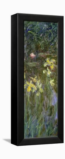 The Yellow Irises, 1914-17-Claude Monet-Framed Premier Image Canvas