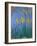 The Yellow Irises, 1918-25-Claude Monet-Framed Giclee Print