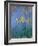 The Yellow Irises, 1918-25-Claude Monet-Framed Giclee Print