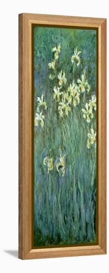 The Yellow Irises-Claude Monet-Framed Premier Image Canvas