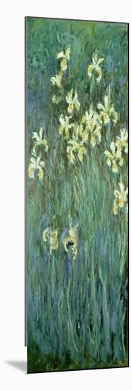 The Yellow Irises-Claude Monet-Mounted Giclee Print