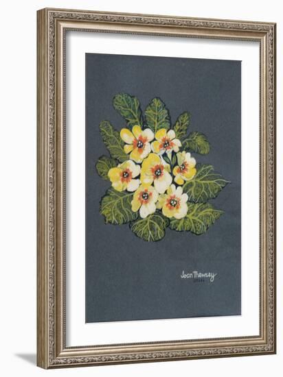 The Yellow Primrose 2012-Joan Thewsey-Framed Giclee Print