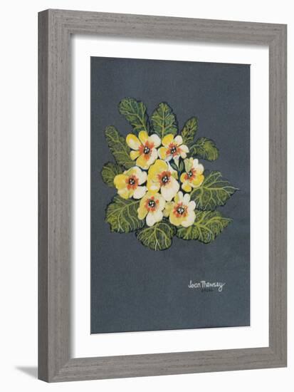 The Yellow Primrose 2012-Joan Thewsey-Framed Giclee Print