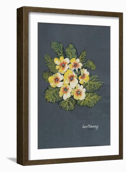 The Yellow Primrose 2012-Joan Thewsey-Framed Giclee Print