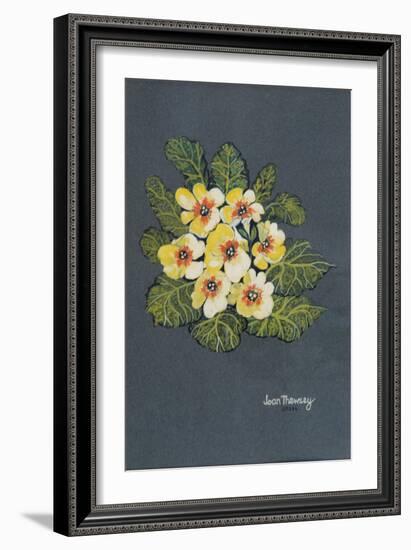 The Yellow Primrose 2012-Joan Thewsey-Framed Giclee Print