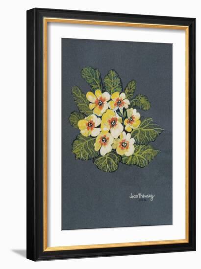 The Yellow Primrose 2012-Joan Thewsey-Framed Giclee Print