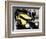 The Yellow Rolls-Royce-null-Framed Photo