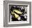 The Yellow Rolls-Royce-null-Framed Photo