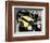 The Yellow Rolls-Royce-null-Framed Photo