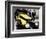 The Yellow Rolls-Royce-null-Framed Photo