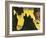 The Yellow Sea-Georges Lacombe-Framed Art Print