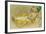 The Yellow Sultana, 1916-Leon Bakst-Framed Giclee Print