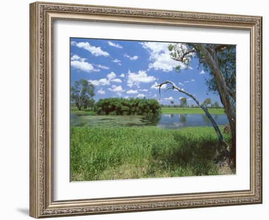 The Yellow Water Wetlands on Floodplain of the Alligator River, Kakadu National Park, Australia-Robert Francis-Framed Photographic Print