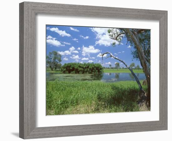 The Yellow Water Wetlands on Floodplain of the Alligator River, Kakadu National Park, Australia-Robert Francis-Framed Photographic Print