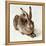 The Young Hare-Albrecht Dürer-Framed Premier Image Canvas