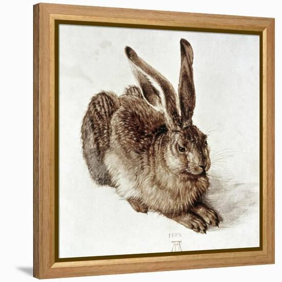 The Young Hare-Albrecht Dürer-Framed Premier Image Canvas