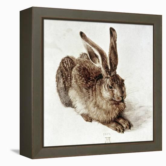 The Young Hare-Albrecht Dürer-Framed Premier Image Canvas