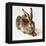 The Young Hare-Albrecht Dürer-Framed Premier Image Canvas