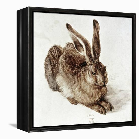 The Young Hare-Albrecht Dürer-Framed Premier Image Canvas