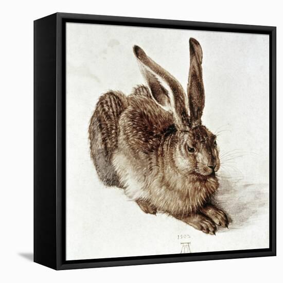 The Young Hare-Albrecht Dürer-Framed Premier Image Canvas