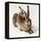 The Young Hare-Albrecht Dürer-Framed Premier Image Canvas