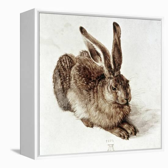 The Young Hare-Albrecht Dürer-Framed Premier Image Canvas