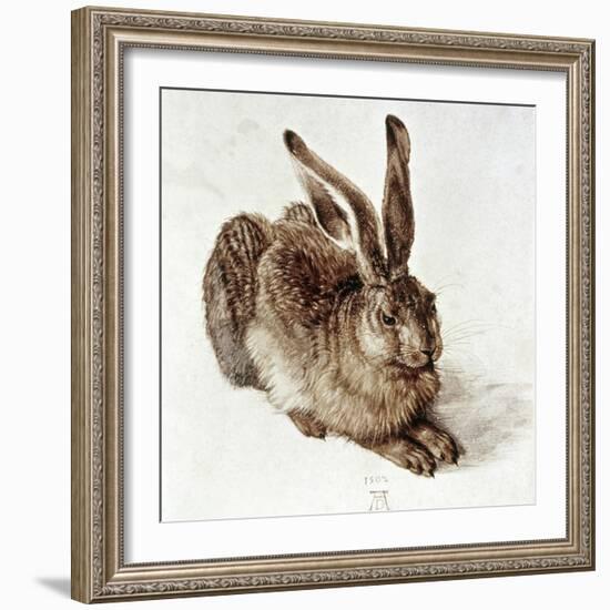 The Young Hare-Albrecht Dürer-Framed Giclee Print