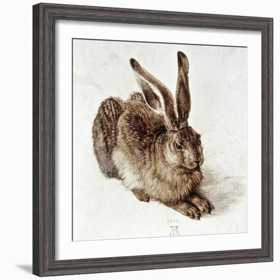 The Young Hare-Albrecht Dürer-Framed Giclee Print