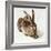 The Young Hare-Albrecht Dürer-Framed Giclee Print