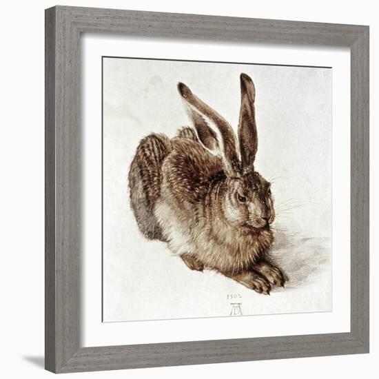 The Young Hare-Albrecht Dürer-Framed Giclee Print