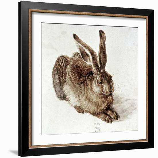 The Young Hare-Albrecht Dürer-Framed Giclee Print