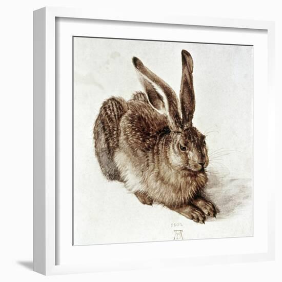 The Young Hare-Albrecht Dürer-Framed Giclee Print