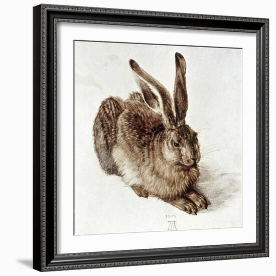 The Young Hare-Albrecht Dürer-Framed Giclee Print