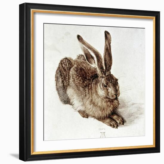 The Young Hare-Albrecht Dürer-Framed Giclee Print