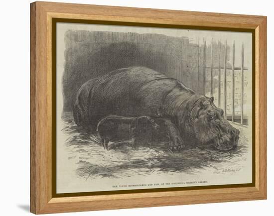The Young Hippopotamus and Dam, at the Zoological Society's Garden-null-Framed Premier Image Canvas