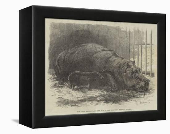 The Young Hippopotamus and Dam, at the Zoological Society's Garden-null-Framed Premier Image Canvas