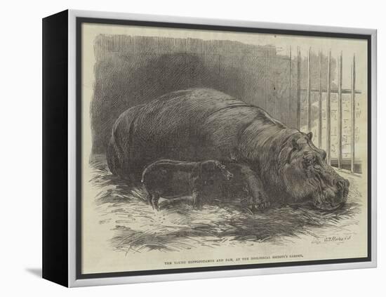 The Young Hippopotamus and Dam, at the Zoological Society's Garden-null-Framed Premier Image Canvas