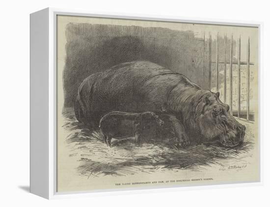 The Young Hippopotamus and Dam, at the Zoological Society's Garden-null-Framed Premier Image Canvas