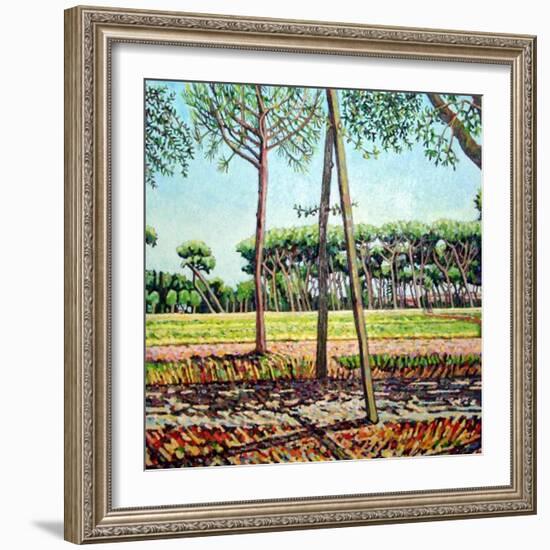 The Young Pine, 2009-Noel Paine-Framed Giclee Print