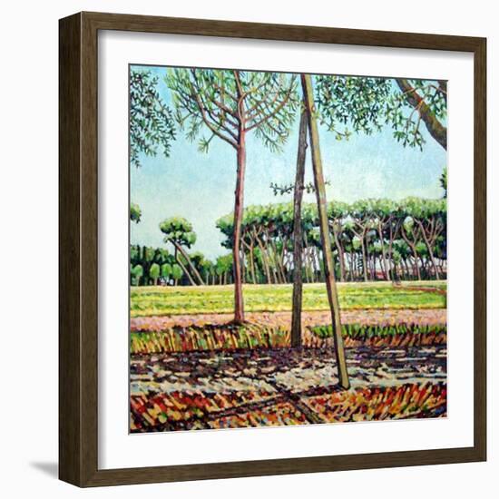 The Young Pine, 2009-Noel Paine-Framed Giclee Print