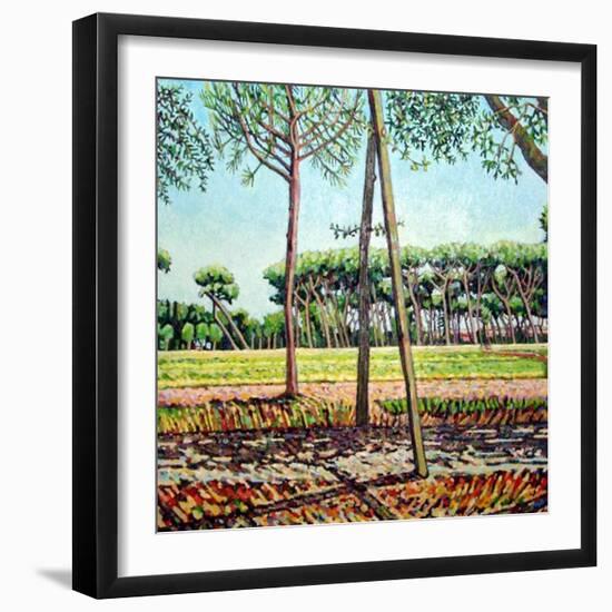 The Young Pine, 2009-Noel Paine-Framed Giclee Print