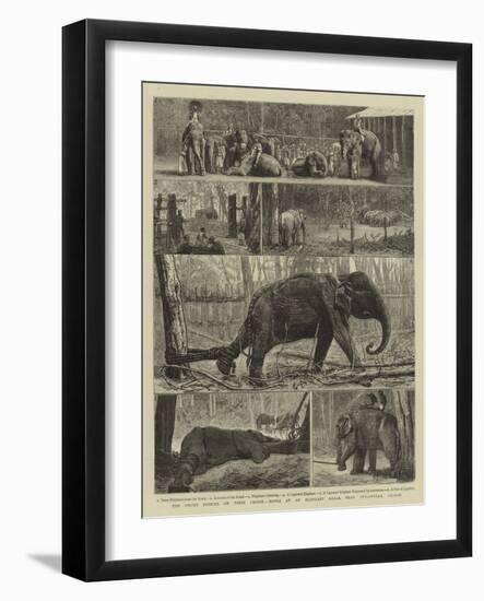 The Young Princes on their Cruise, Notes at an Elephant Kraal Near Awisawella, Ceylon-null-Framed Giclee Print