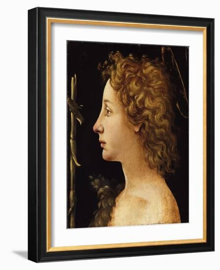 The Young Saint John the Baptist-Piero di Cosimo-Framed Giclee Print