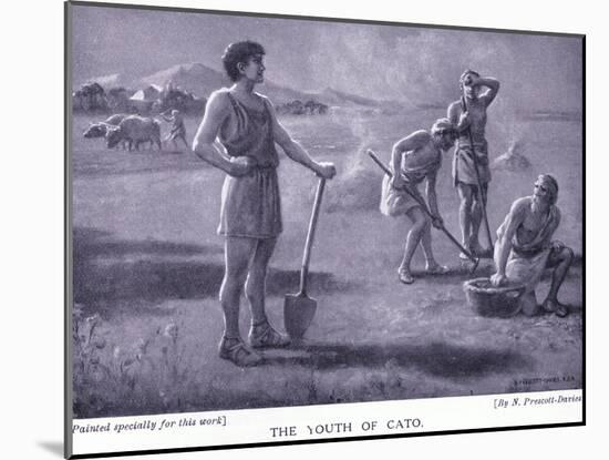 The Youth of Cato-Norman Prescott Davies-Mounted Giclee Print