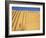 The Ziggurat, Agargouf, Iraq, Middle East-Nico Tondini-Framed Photographic Print