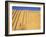 The Ziggurat, Agargouf, Iraq, Middle East-Nico Tondini-Framed Photographic Print