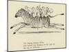 The Zigzag Zealous Zebra-Edward Lear-Mounted Giclee Print