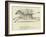 The Zigzag Zealous Zebra-Edward Lear-Framed Giclee Print